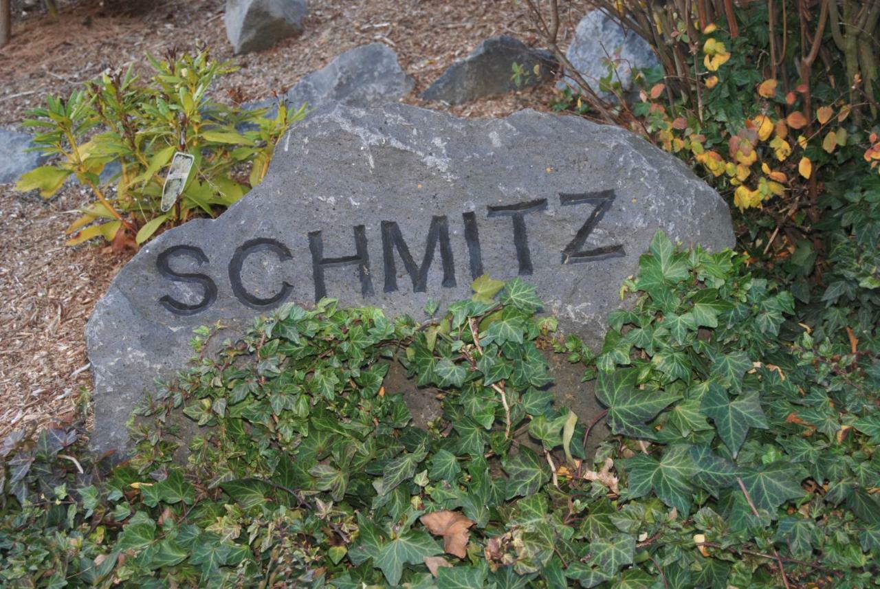 Ferienwohnung Schmitz Anschau Екстер'єр фото